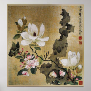 Affiche Dynastie Magnolia Fleur et Papillon