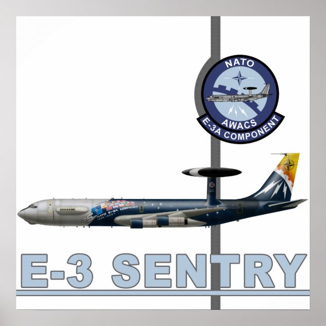 Affiche E-3 Sentry Print (Devant)