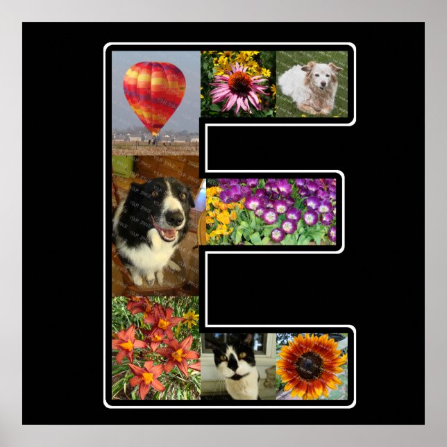 Affiche E Monogramme Créez votre propre collection de phot (Devant)