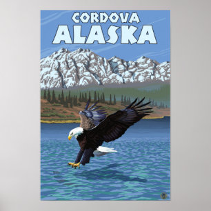 Affiche Eagle chauve plongeant - Cordova, Alaska