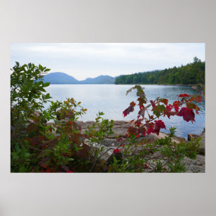 Affiche Eagle Lake et feuilles d'érable rouges I