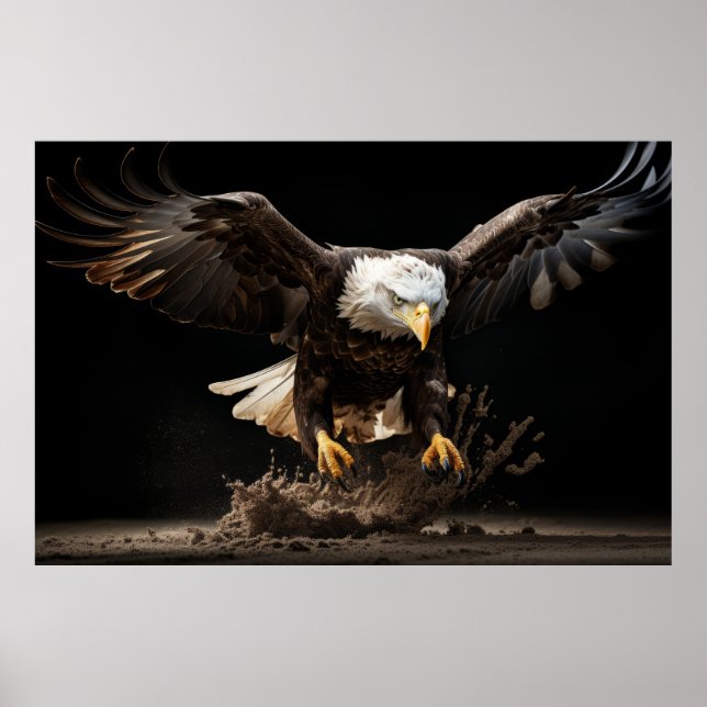 Affiche Eagle Wild Animal Portrait Nature Beauté (Devant)
