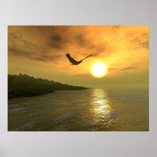 Affiche EagleCoast