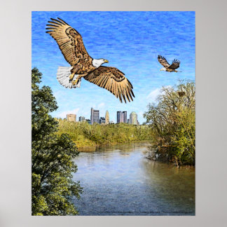 Affiche Eagles Scioto River Columbus Ohio Imprimer