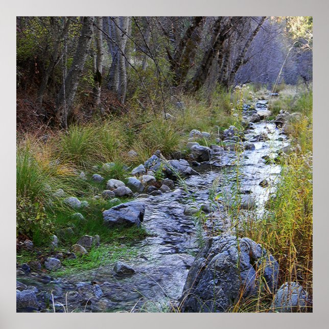 Affiche East Fork/Hayfork creek...... (Devant)