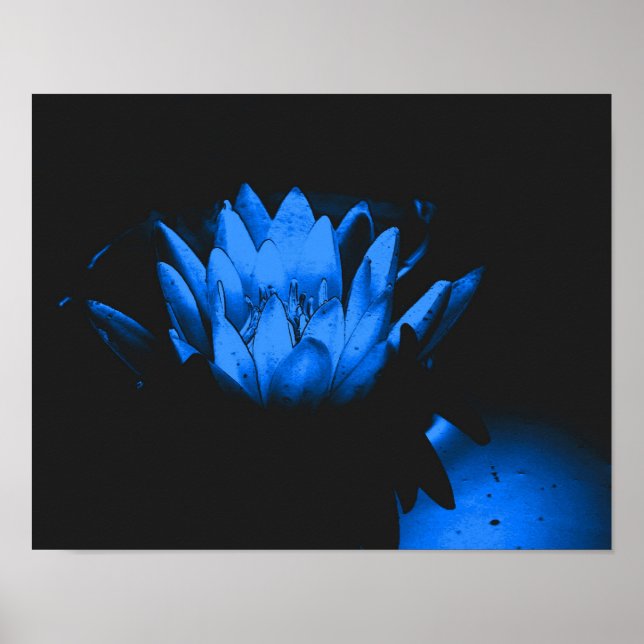 Affiche Eau bleu brillant Lily Lotus Fleur Abstraite (Devant)