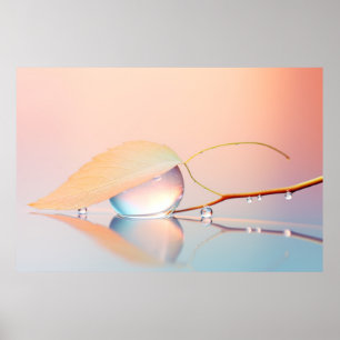 Affiche Eau de feuilles Drop Nature Serene Tranquil