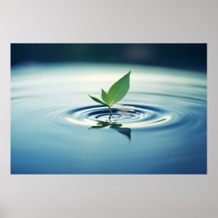 Affiche Eau de feuilles Tranquille Nature paisible