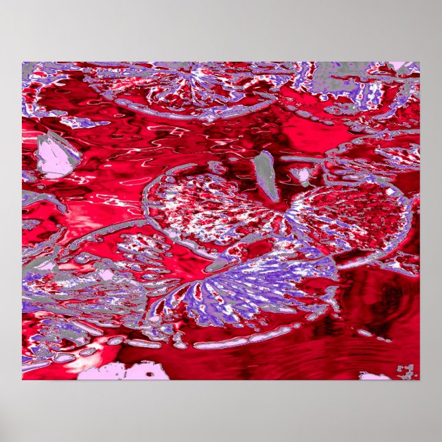 AFFICHE EAU LILY POND (Devant)