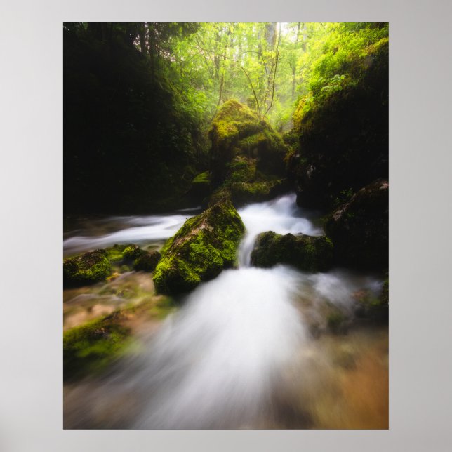 Affiche Eau qui traverse une forêt enchanteresse de mousse (Devant)