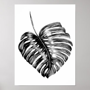 Affiche Eau tropicale noire et blanche de la feuille de mo