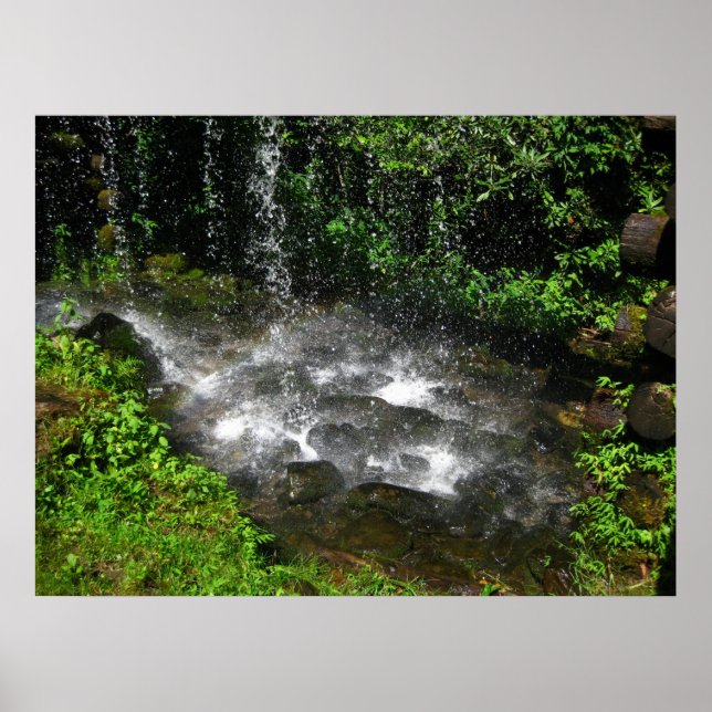 Affiche Eaux chatoyantes (Devant)