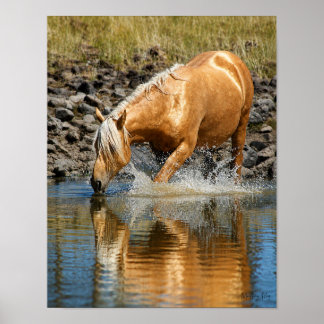 Affiche Eaux Palomino