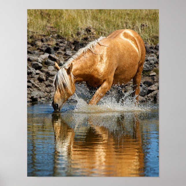 Affiche Eaux Palomino  (Devant)
