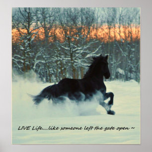 Affiche Ébat frison d'hiver