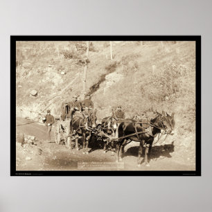 Affiche Écart-type 1888 de Fort Meade de trésorier et de