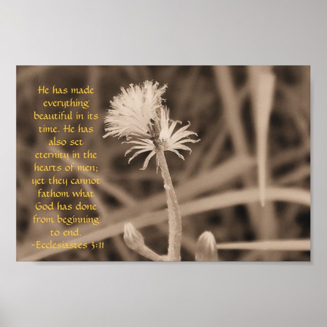 Affiche Ecclesiastes 3:11 imprimer en sépiatone (Devant)