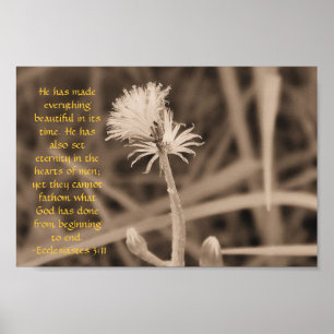 Affiche Ecclesiastes 3:11 print in sepiatone