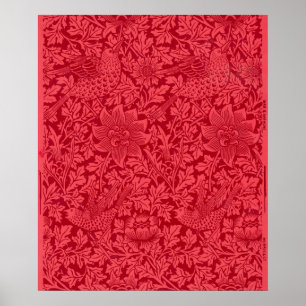 Affiche Échantillon d'oiseau, papier peint d'anémone par M