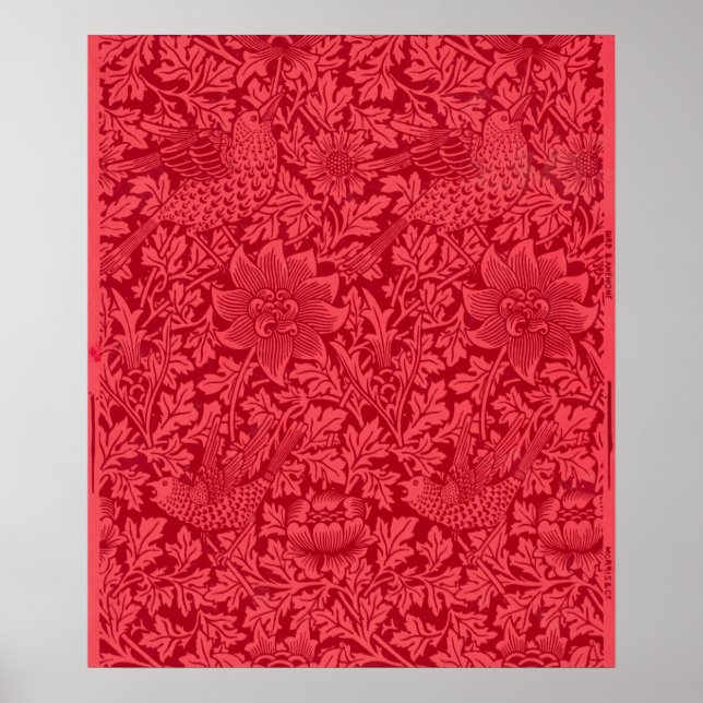 Affiche Échantillon d'oiseau, papier peint d'anémone par M (Devant)