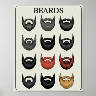 Affiche Échelle d'évaluation de la barbe   Drôle d'art mur