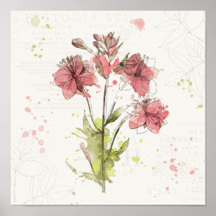 Affiche Éclaboussure rose foncée florale