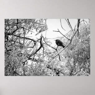 Affiche Éclater sur un arbre gelé