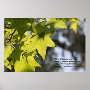 Affiche Eclesiastes 3:1 con Hojas