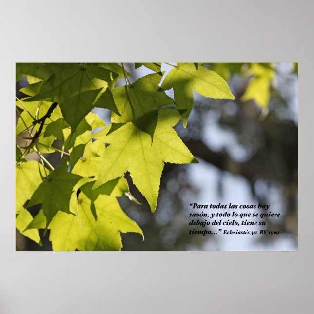 Affiche Eclesiastes 3:1 con Hojas (Devant)