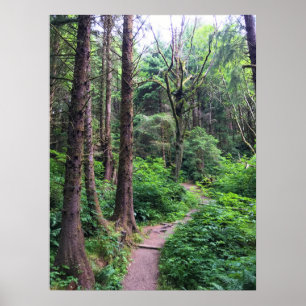 Affiche Ecola State Park, Cannon Beach, Oregon