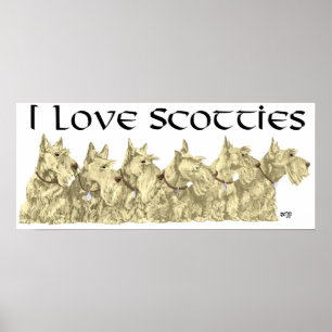Affiche écossaise Terrier