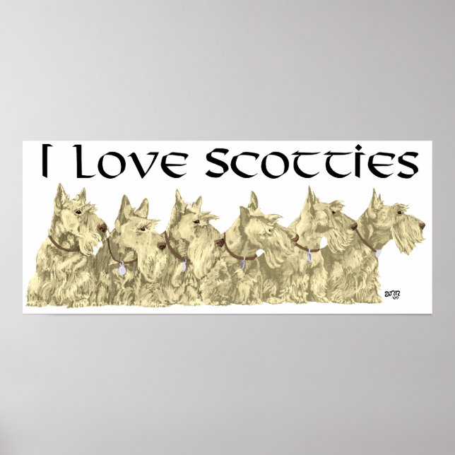 Affiche écossaise Terrier (Devant)