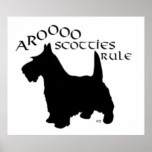 Affiche écossaise Terrier