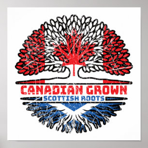 Affiche Écosse Écosse Canadian Canada Tree Roots Flag