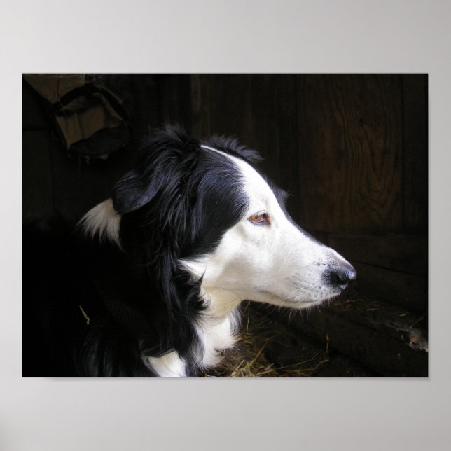 Affiche "Écoute" (Devant)