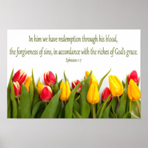 Affiche Écriture biblique Éphésiens 1: 7 Tulipes colorées