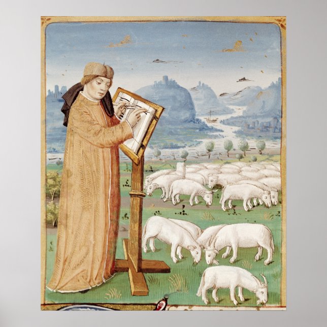 Affiche Écriture virale dans un champ de moutons et de chè (Devant)