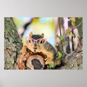 Affiche Écureuil chic