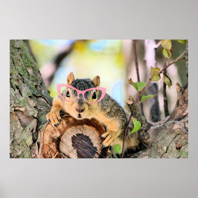 Affiche Écureuil chic (Devant)