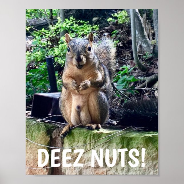 Affiche Écureuil drôle Deez Nuts Humour inapproprié (Devant)