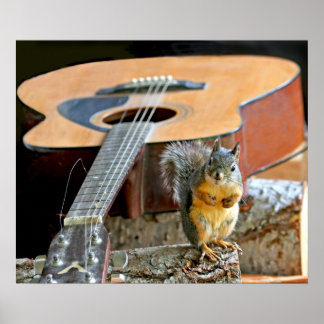Affiche Écureuil et guitare