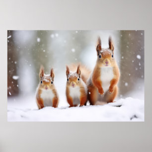 Affiche Écureuil Famille d'animaux errants Nature