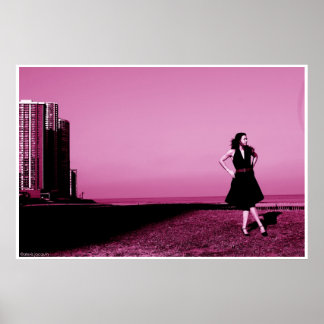 Affiche Edgewater beach, ill 2006