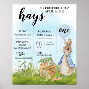 Affiche Editable, Diagramme de jalon, Peter Rabbit, Bunny,