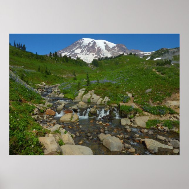 Affiche Edith Creek dans le parc national Mount Rainier (Devant)