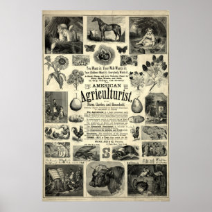 Affiche Édition 1866 de The American Agriculturist
