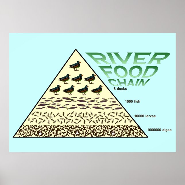 Affiche Éducation, Sciences, Chaîne alimentaire fluviale (Devant)