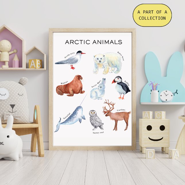 Affiche éducative sur les animaux arctiques (Créateur téléchargé)