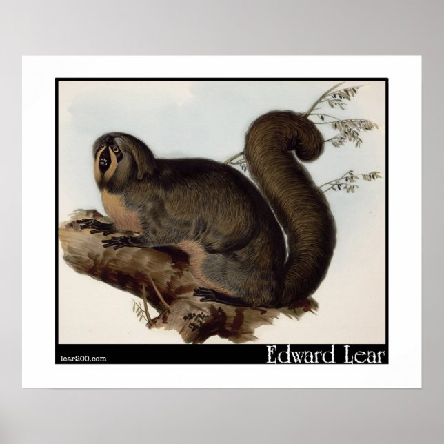 Affiche Edward Lear : Whiskered Yarke (Devant)