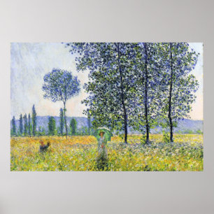 Affiche Effet de lumière du soleil sous les peupliers